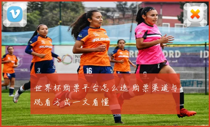 世界杯购票平台怎么选 购票渠道与观看方式一文看懂