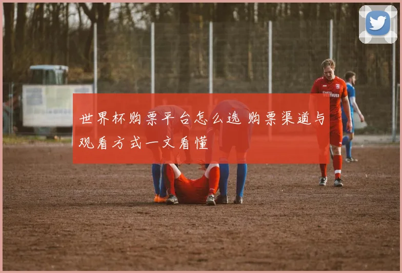 世界杯购票平台怎么选 购票渠道与观看方式一文看懂